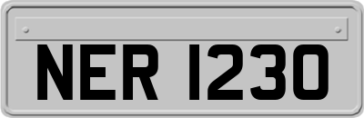 NER1230