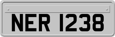 NER1238