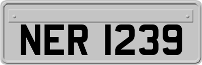 NER1239