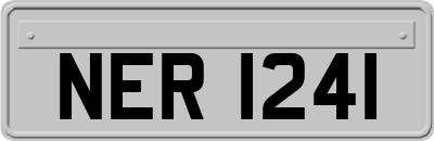 NER1241