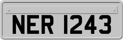 NER1243