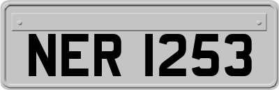 NER1253