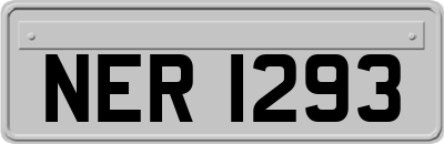 NER1293