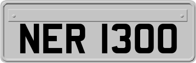 NER1300