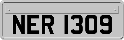 NER1309