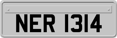 NER1314