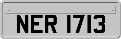 NER1713