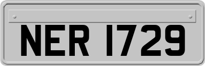 NER1729