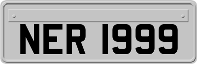 NER1999