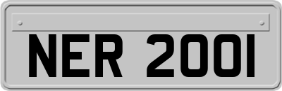 NER2001