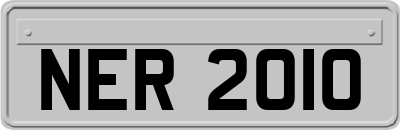 NER2010