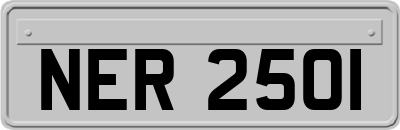 NER2501