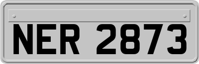 NER2873