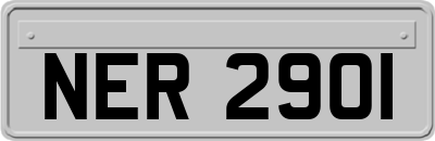 NER2901