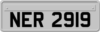 NER2919