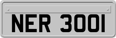 NER3001