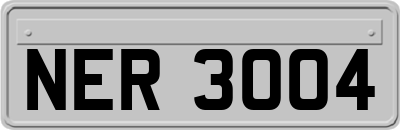 NER3004