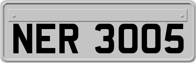 NER3005