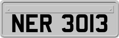 NER3013