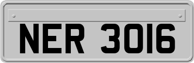 NER3016