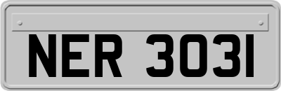 NER3031