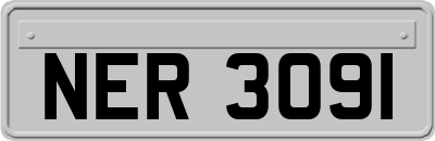 NER3091