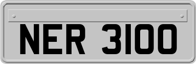 NER3100