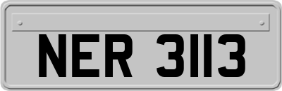 NER3113