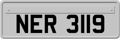 NER3119