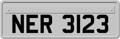 NER3123