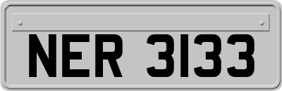 NER3133