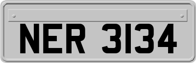 NER3134