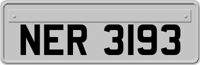 NER3193