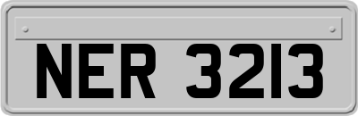 NER3213