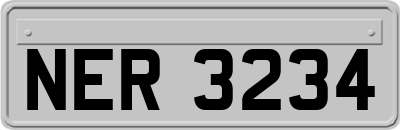 NER3234