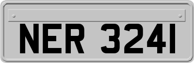 NER3241