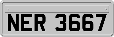 NER3667