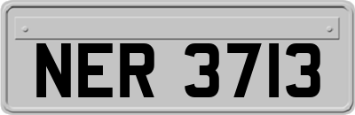 NER3713