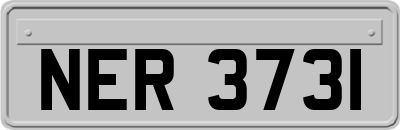 NER3731