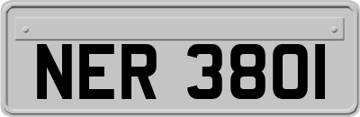 NER3801