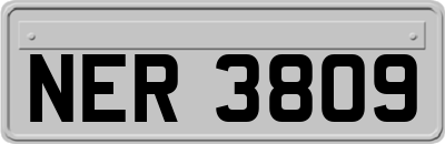 NER3809