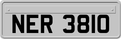 NER3810