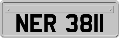 NER3811