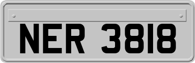 NER3818