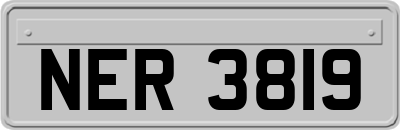 NER3819