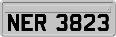 NER3823