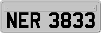 NER3833