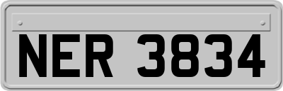 NER3834