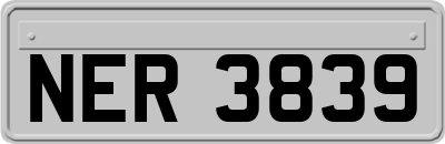 NER3839