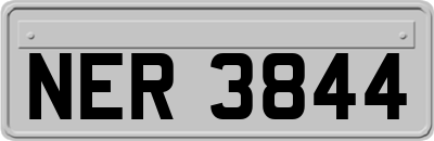 NER3844